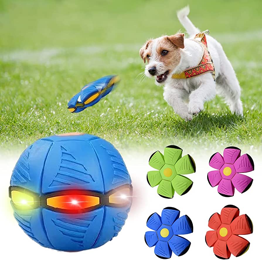 The Canine: Dog Frisbee
