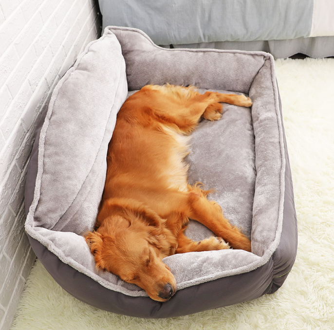 Canine Bed