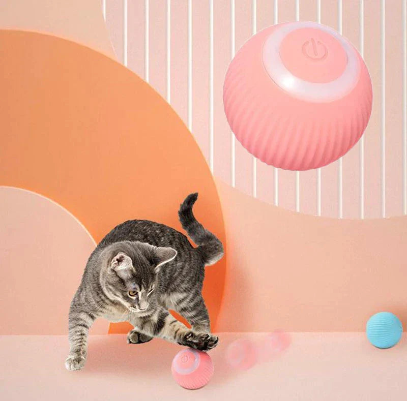Feline: Interactive Ball