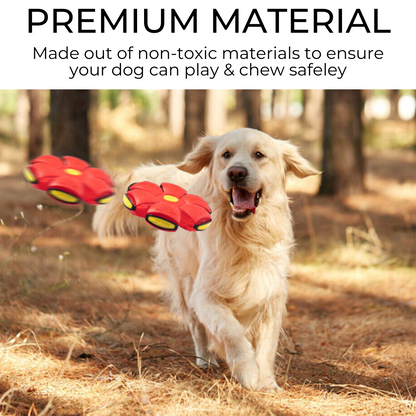 The Canine: Dog Frisbee