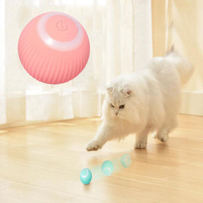 Feline: Interactive Ball